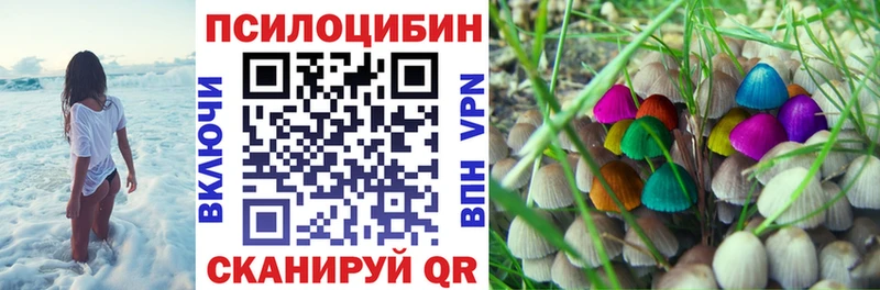Псилоцибиновые грибы прущие грибы  Купить  Хвалынск 